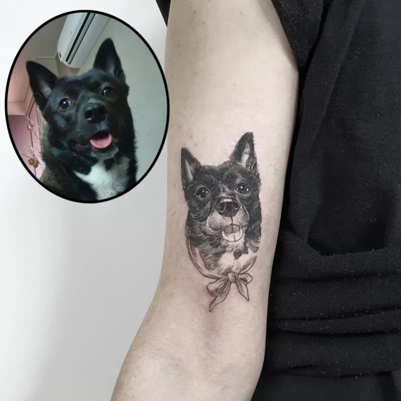 ๋ฐ๋ ค๊ฒฌํํฌ - 1