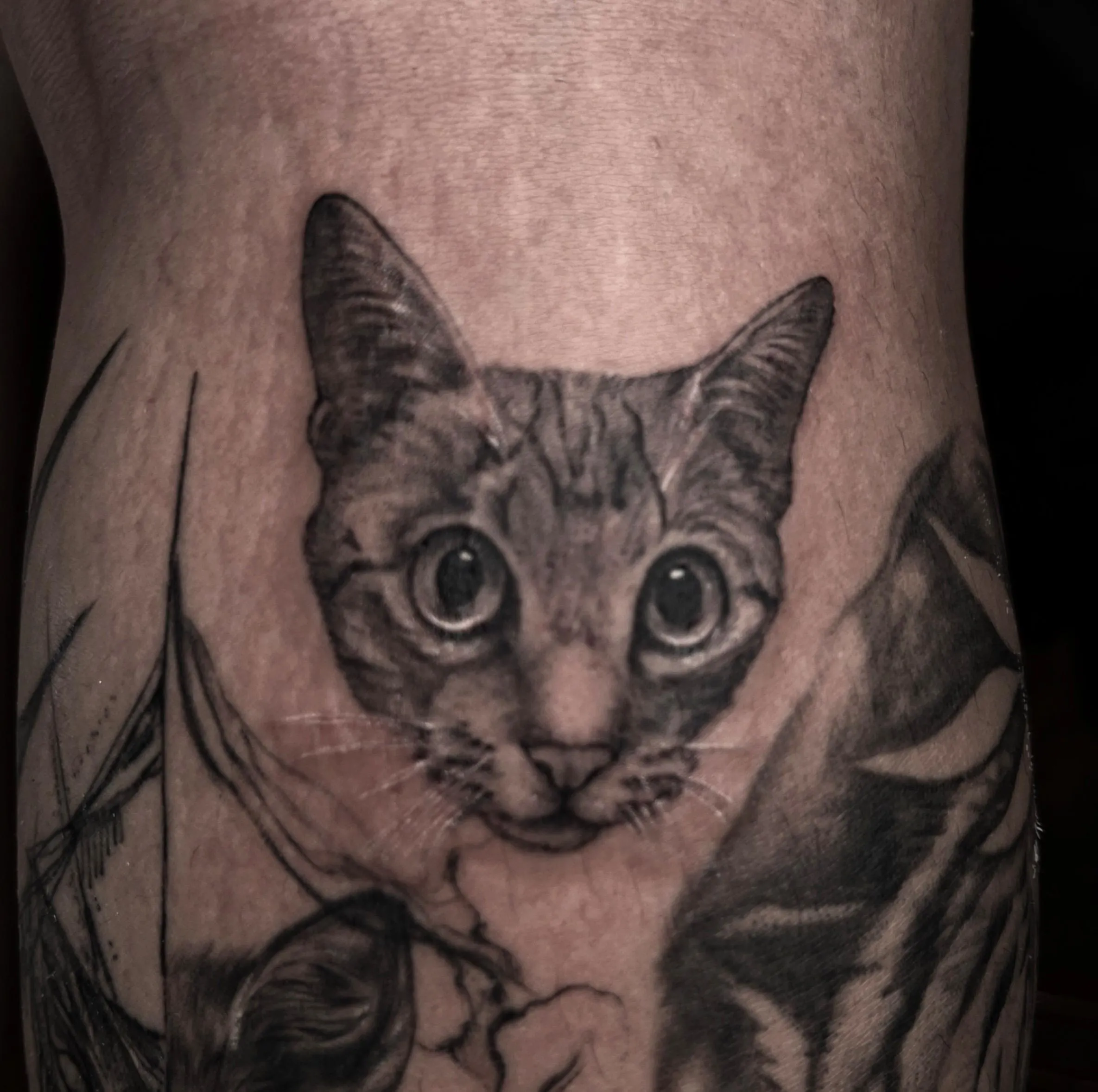 반려묘타투 고양이타투 - 1