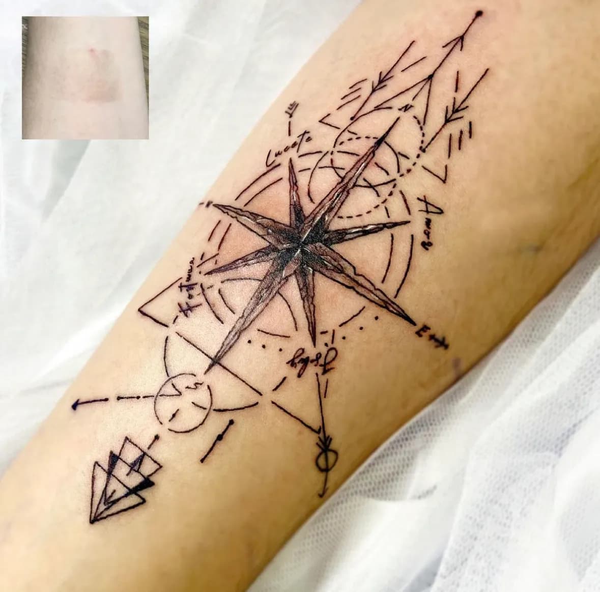 ๋์นจ๋ฐ ํํฌ - 1