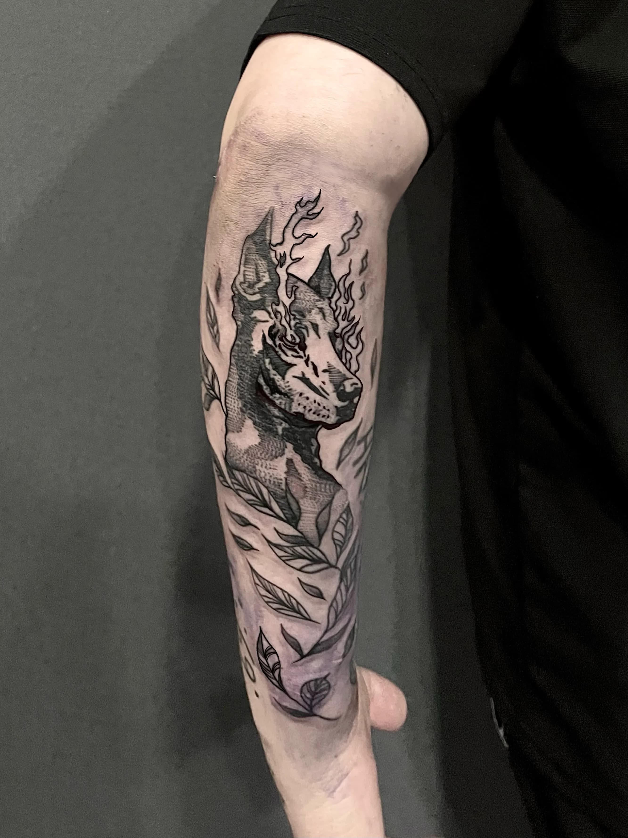 도베르만,나뭇잎