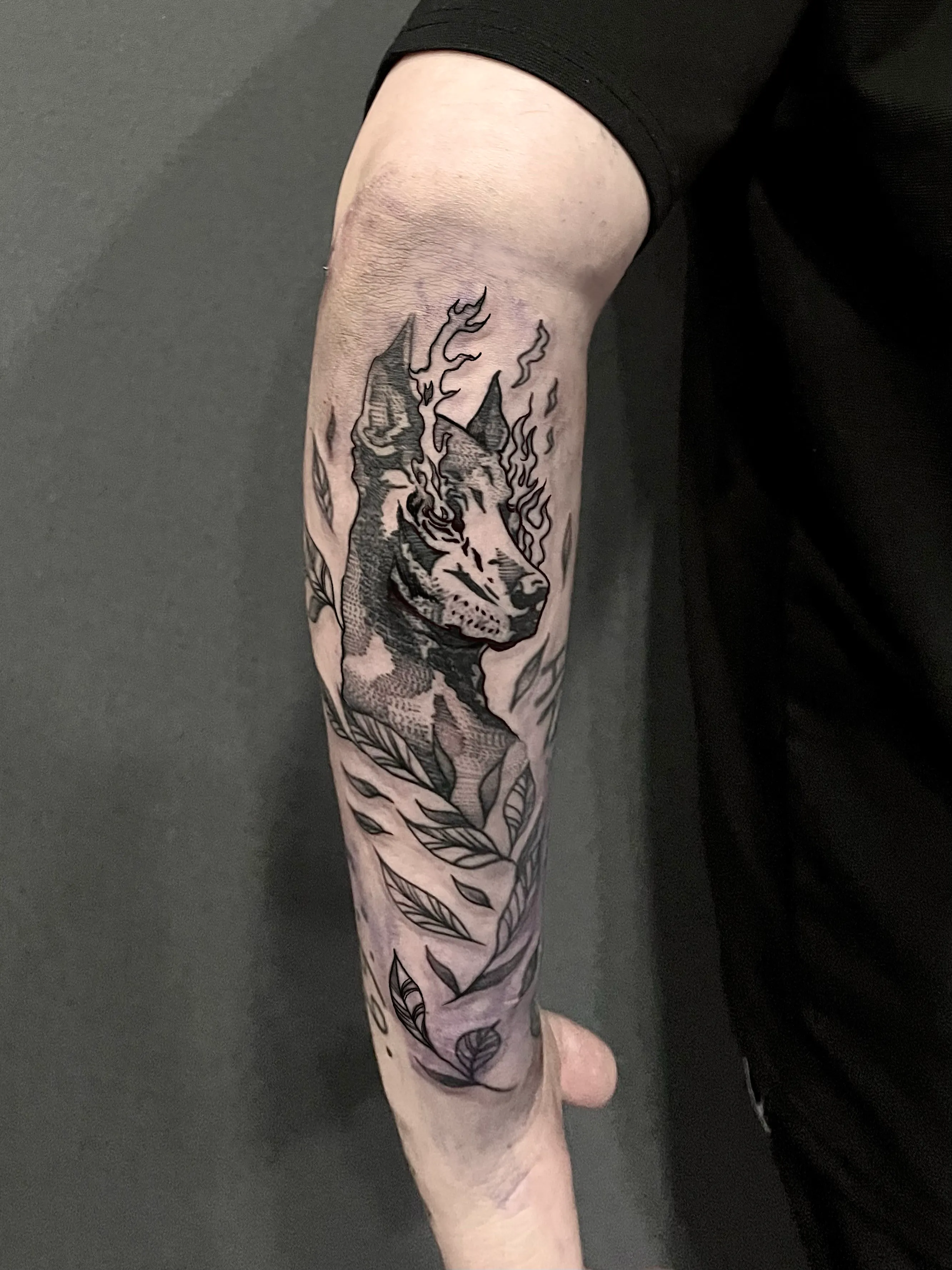 도베르만,나뭇잎