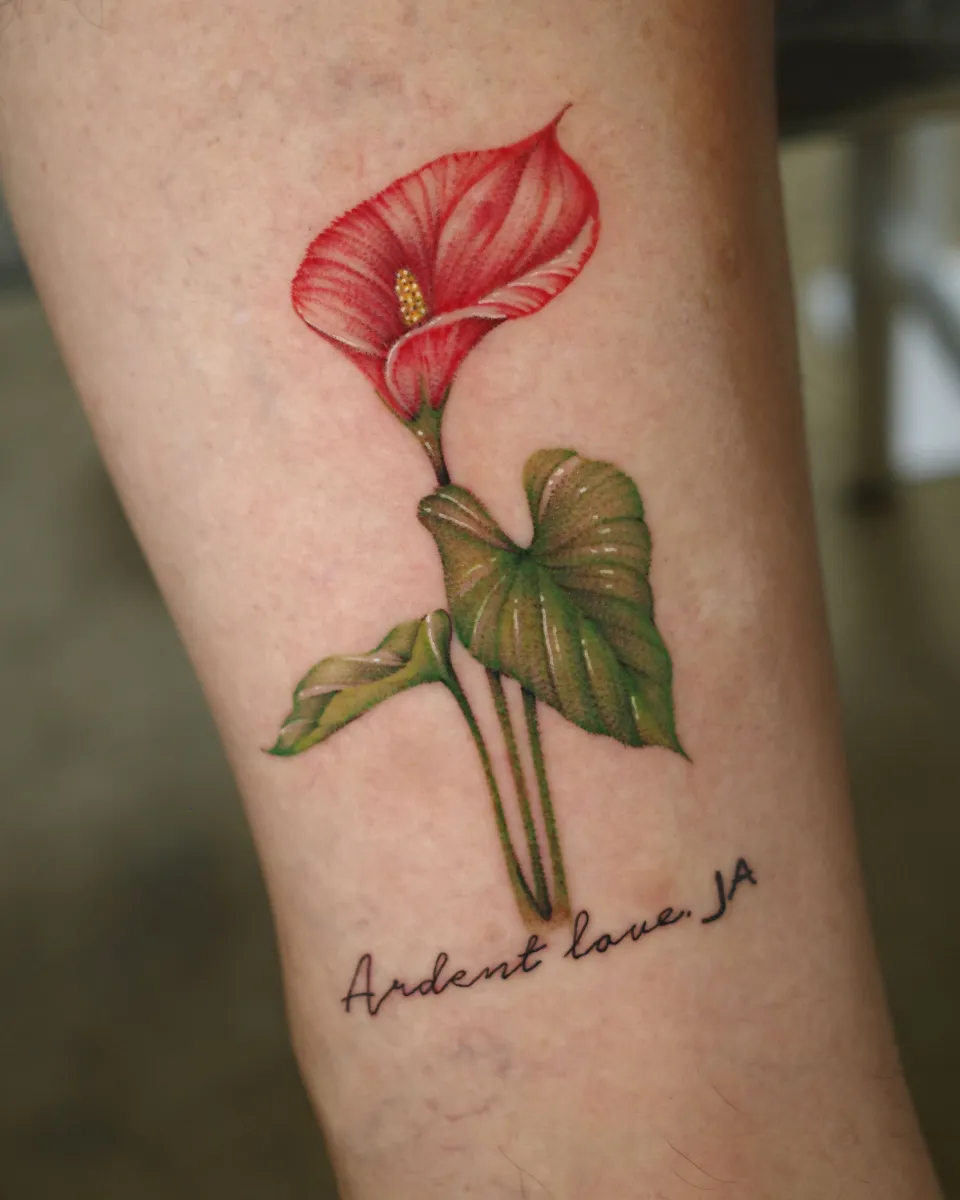 ๊ฝ ๊ฝ๋ง ๋ ํฐ๋ง ๋ฏธ๋ํํฌ - 1