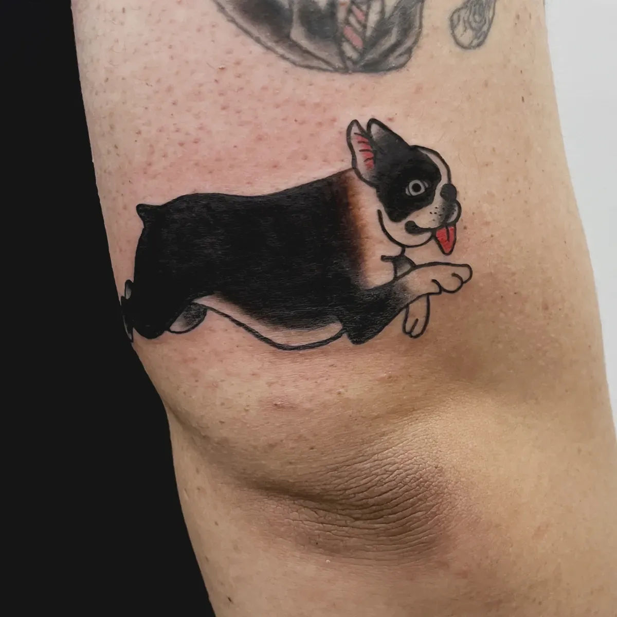 ๋ฐ๋ ค๊ฒฌ ์ค์ฟจํํฌ