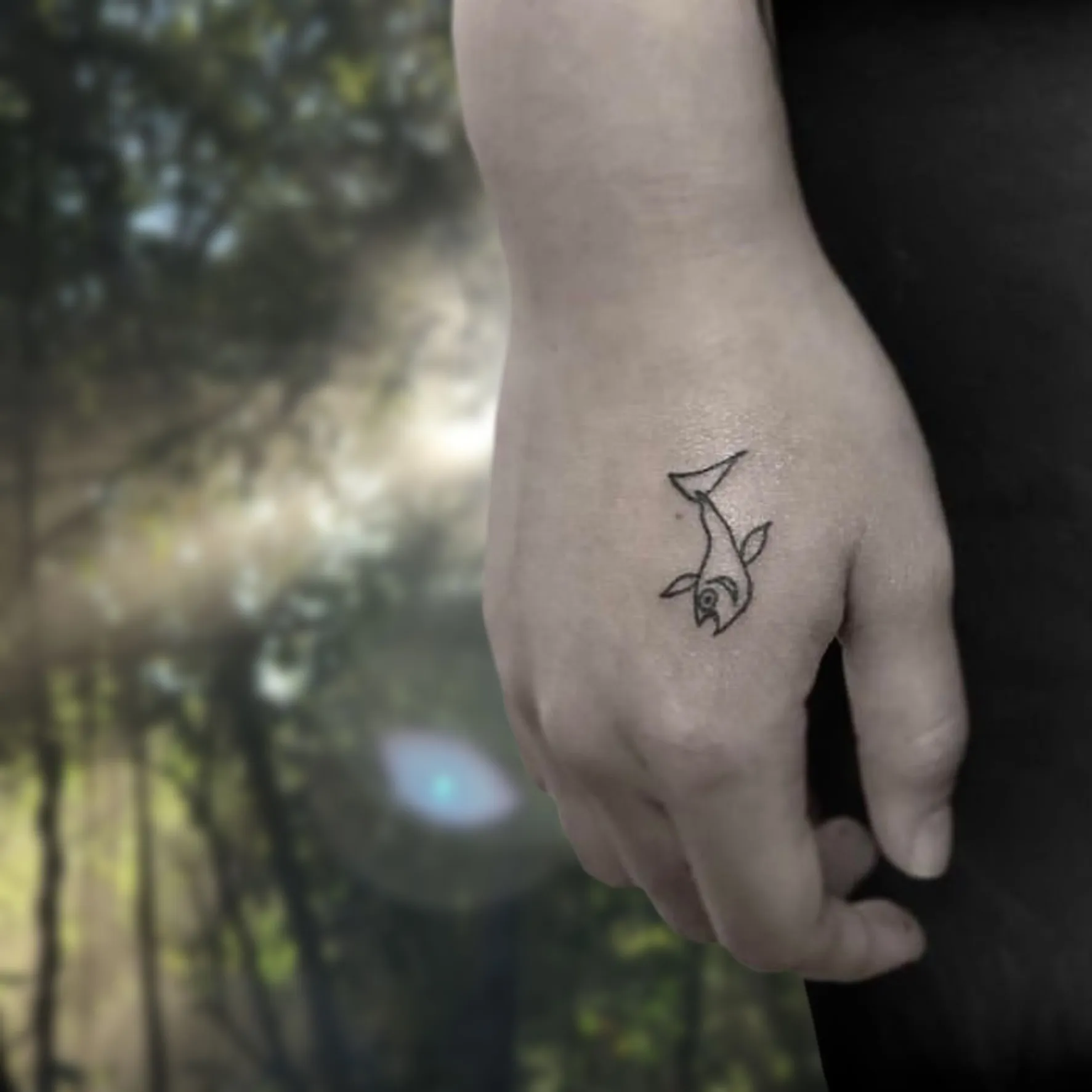 ๋ถ์ฐ ์๋ฑ ๋ฌผ๊ณ ๊ธฐ ํํฌ - 1