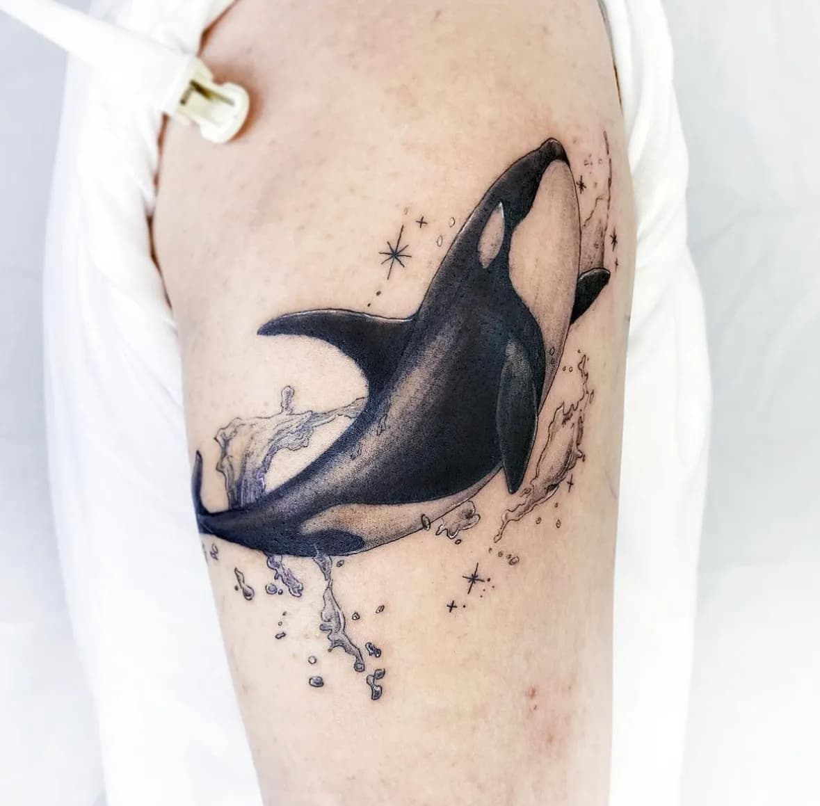 범고래 타투 - 1