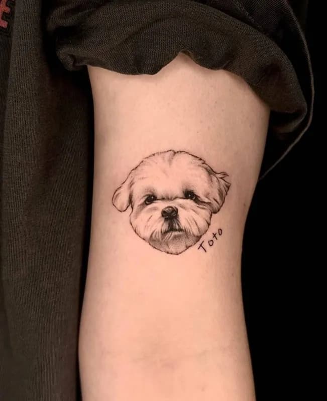 ์ ๊ฒฌํํฌ&๋ ํฐ๋ง - 1