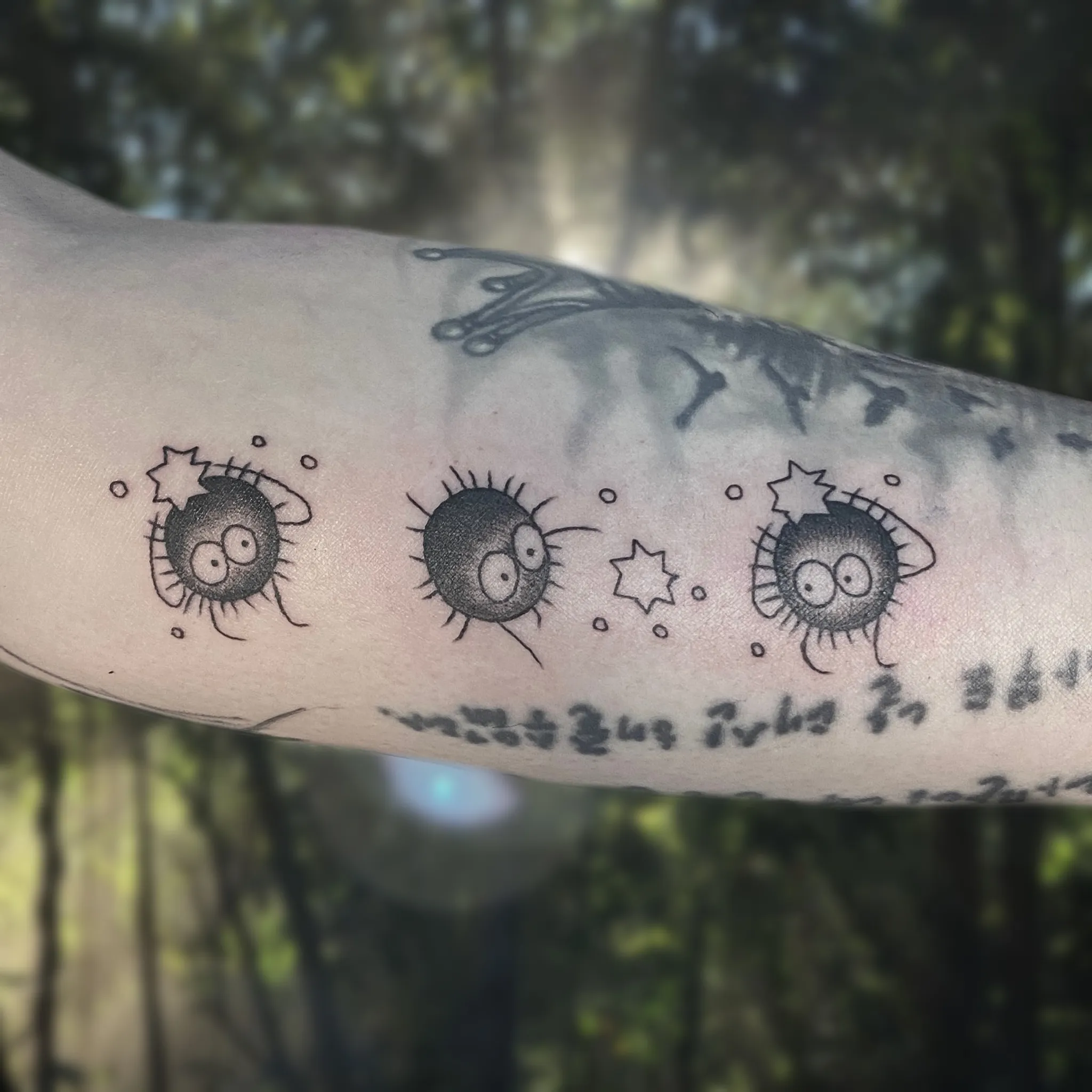 ๋ถ์ฐ ๋จผ์ง ํํฌ - 1