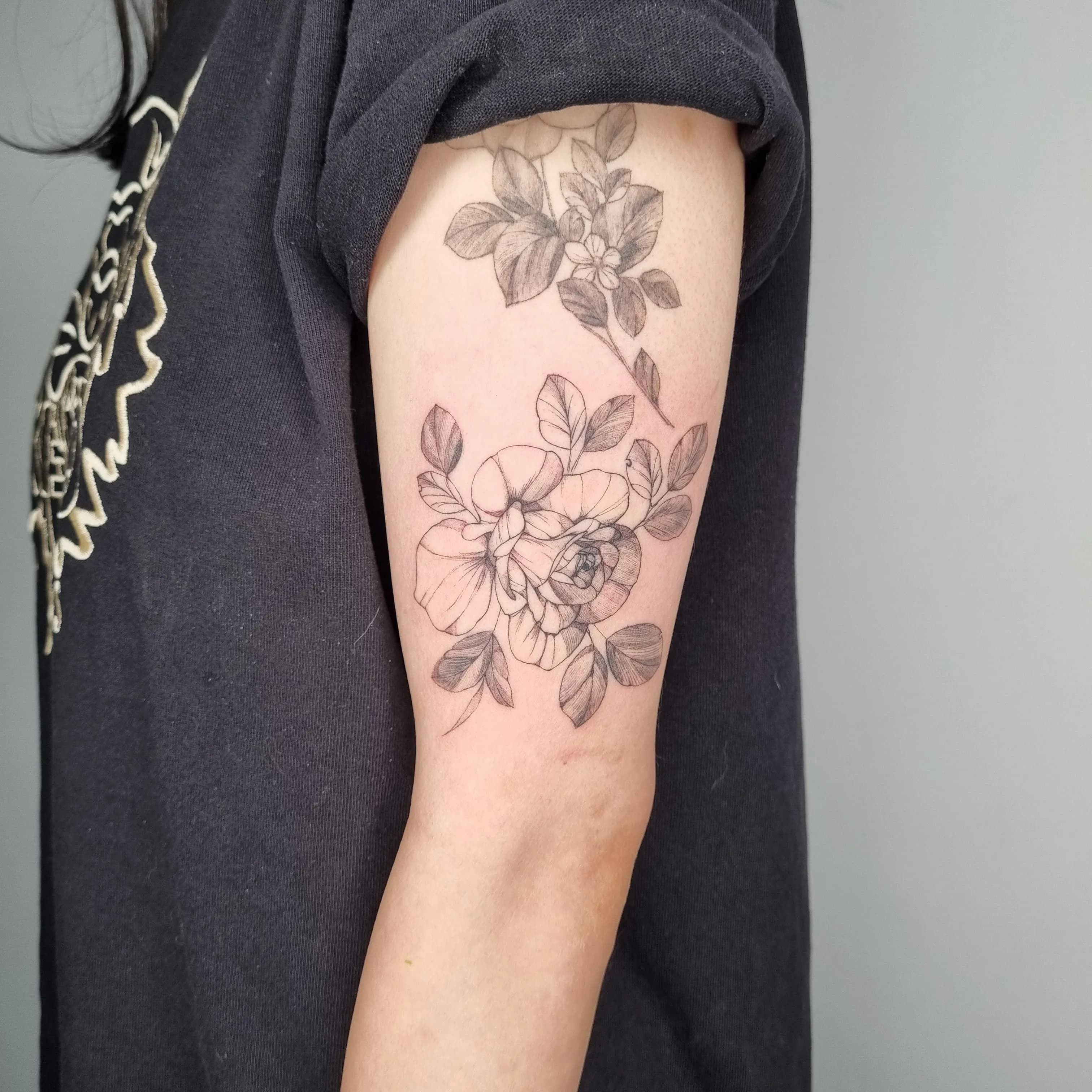 ํํํฌ, ์ฅ๋ฏธํํฌ, ๊ฝํํฌ, ์ฌ์ํํฌ, ํ๋ํํฌ, ๋จ์ํํฌ, ํํฌ - 1