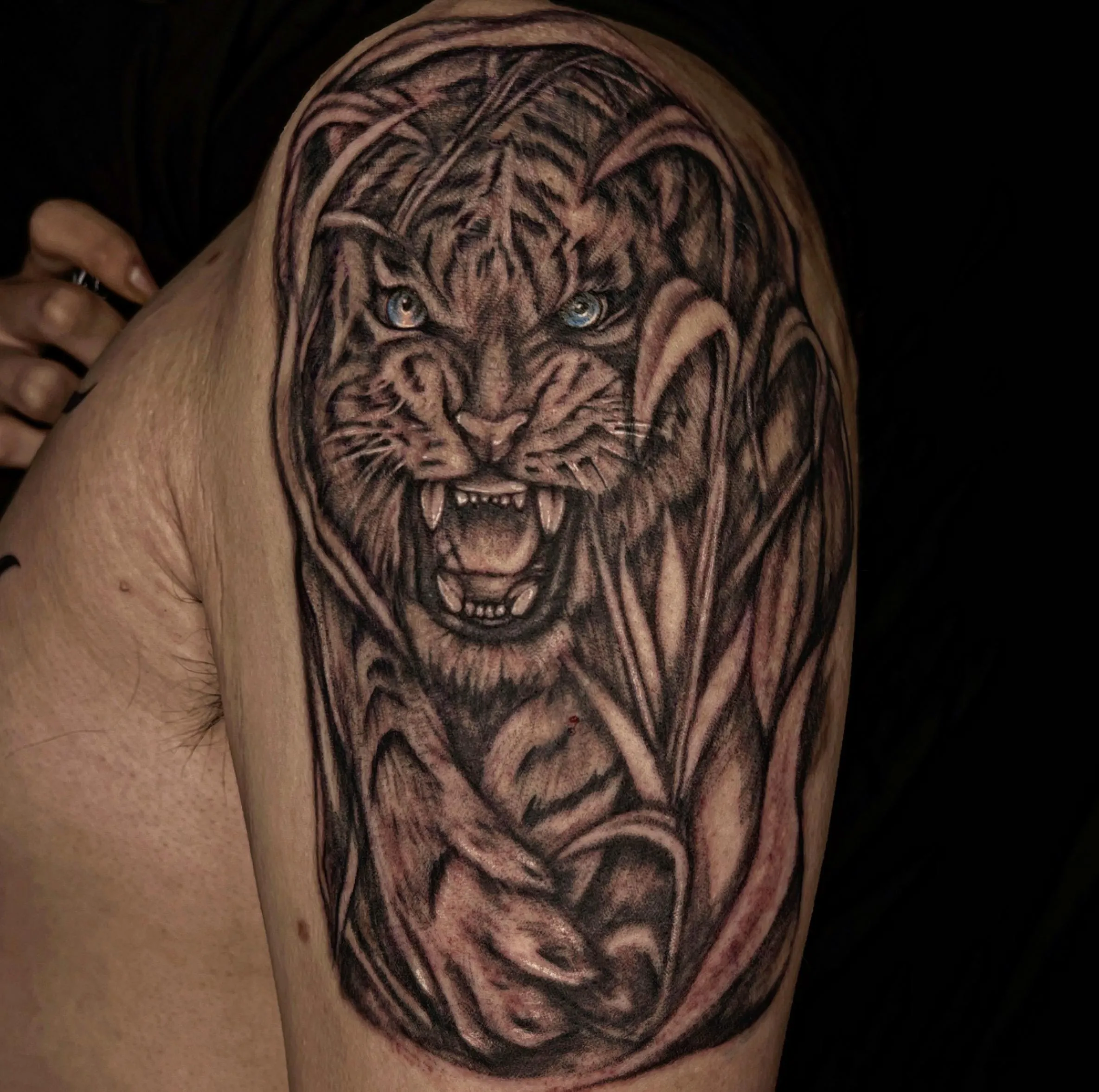 ํธ๋์ดํํฌ