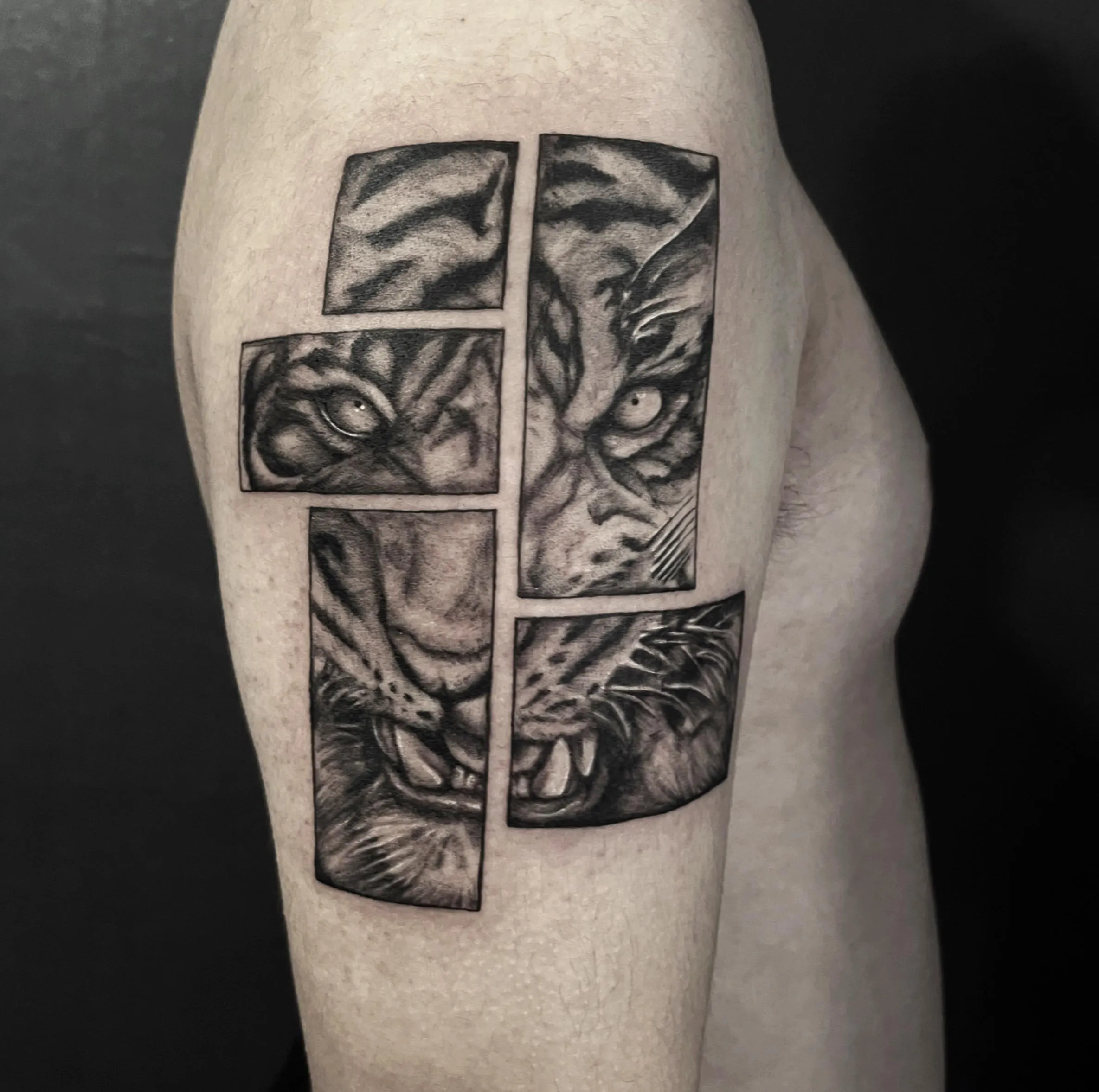 호랑이타투 액자타투 - 1