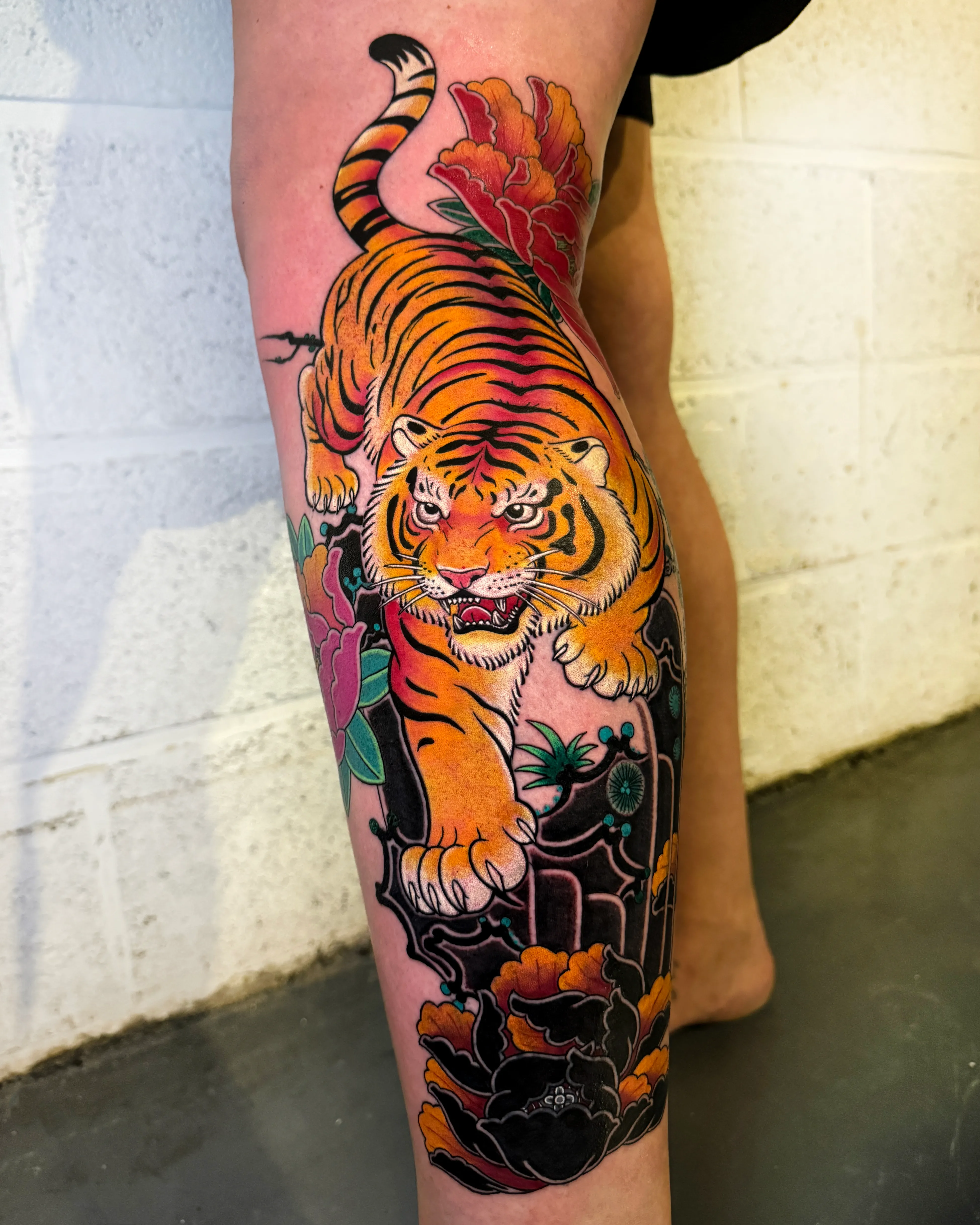 ์ค๋ฆฌ์ํํํฌ ํธ๋์ดํํฌ ๋ค๋ฆฌํํฌ ๋ด์ค์ฟจํํฌ ๋ถ์ฒํํฌ ์ธ์ฒํํฌ ์ํฅํํฌ ์ ๋กํํฌ