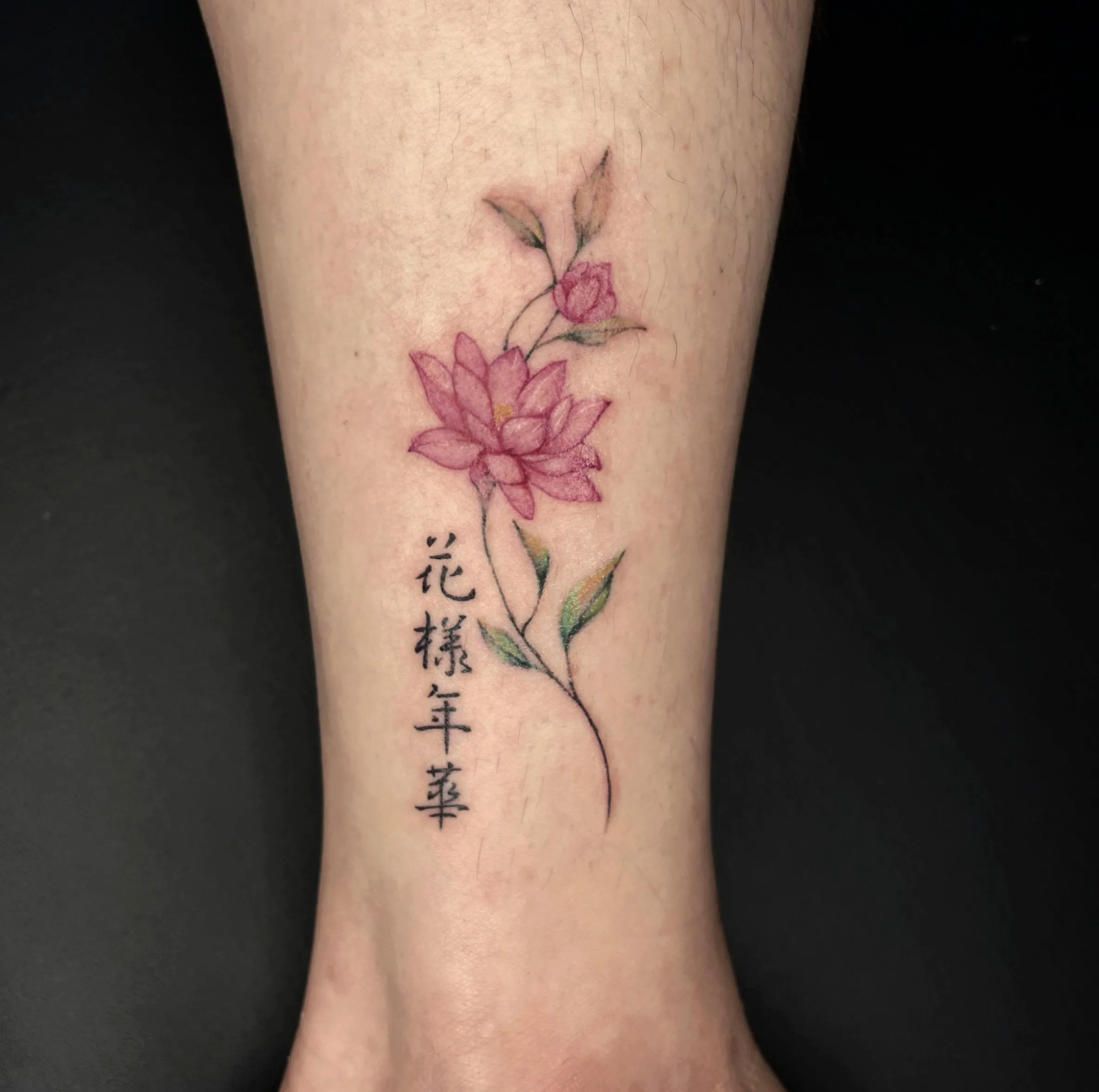 ๊ฝํํฌ ์ปฌ๋ฌ - 1