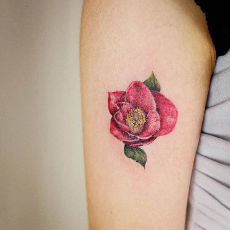동백꽃 팔타투 tattooist_petal