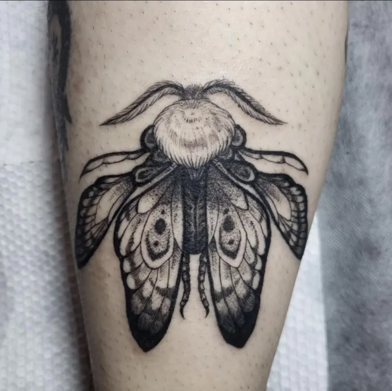 ๋๋ฐฉํํฌ - 1