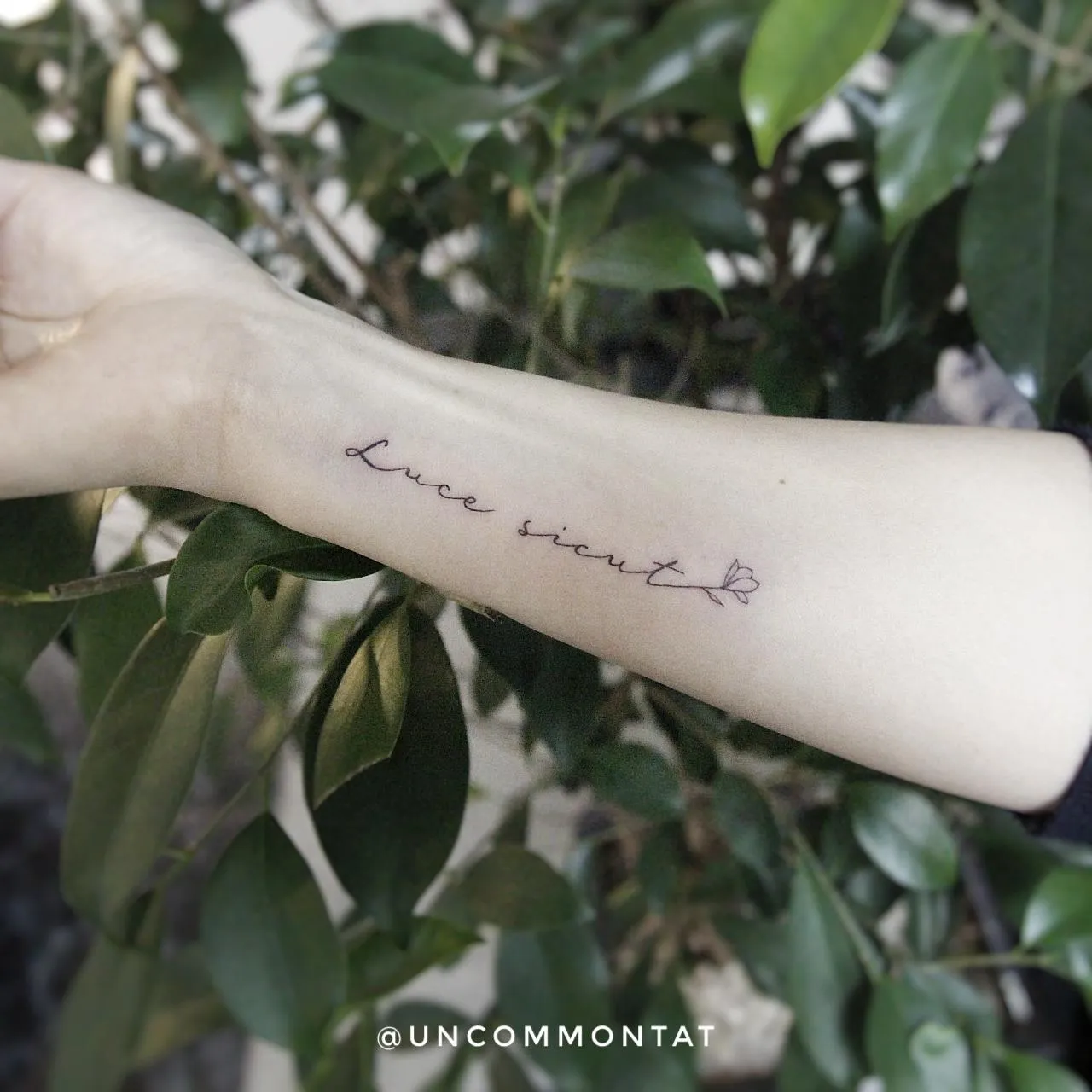 ᴜɴᴄᴏᴍᴍᴏɴ ᴛᴀᴛ :) - 1