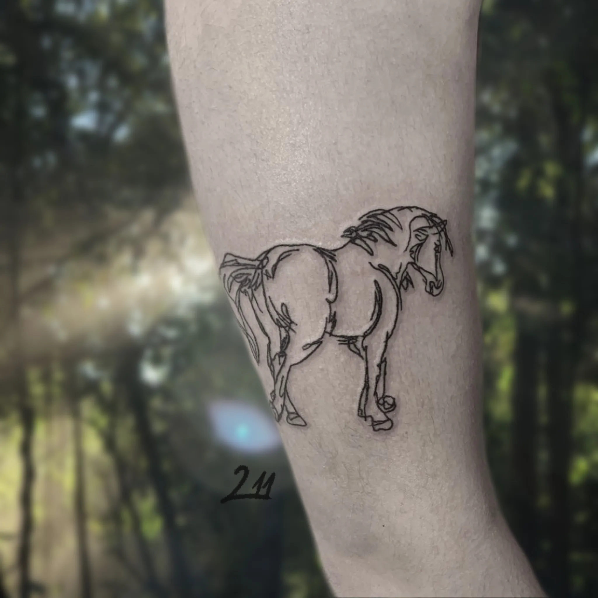 ๋ง ๋๋ก์ ํํฌ - 1