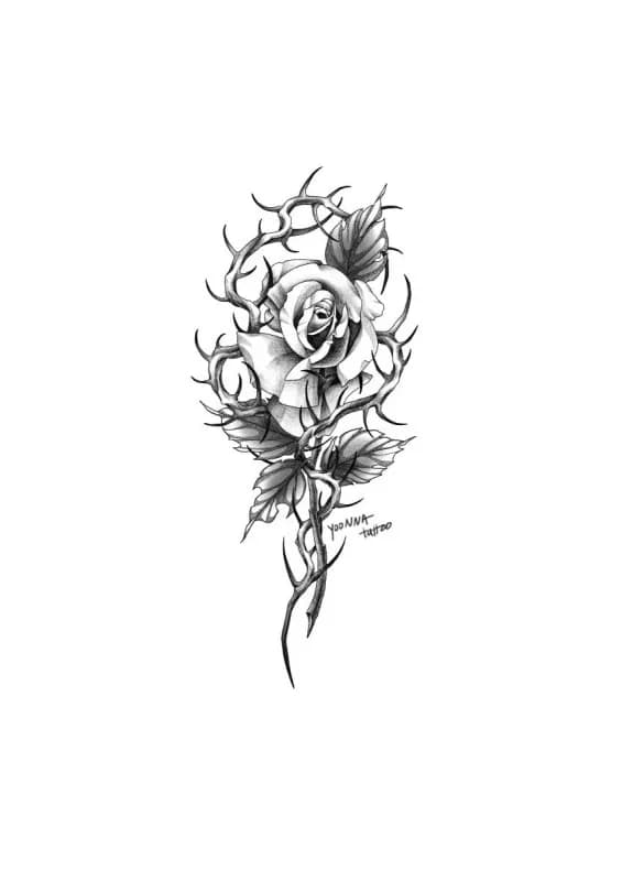 ์ฅ๋ฏธ์ ๊ฐ์ - 1