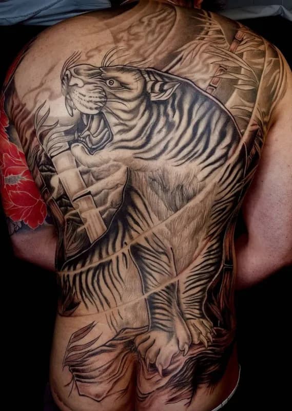 등판 호랑이 진행중