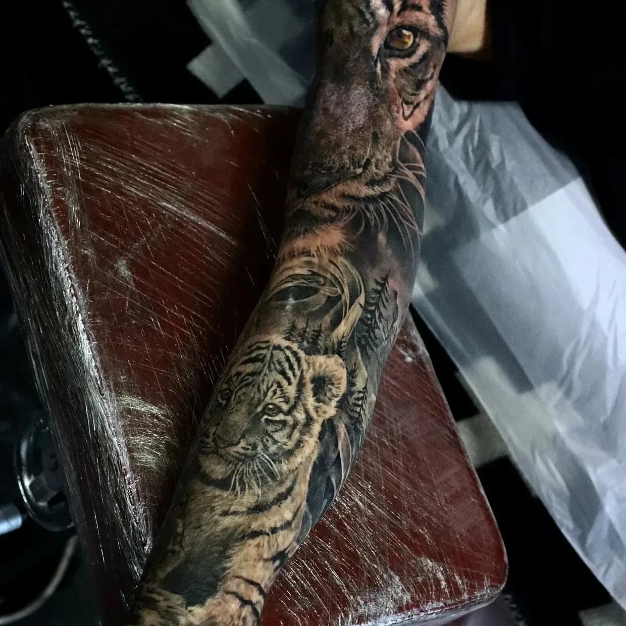 호랑이 블랙앤그레이 - 1