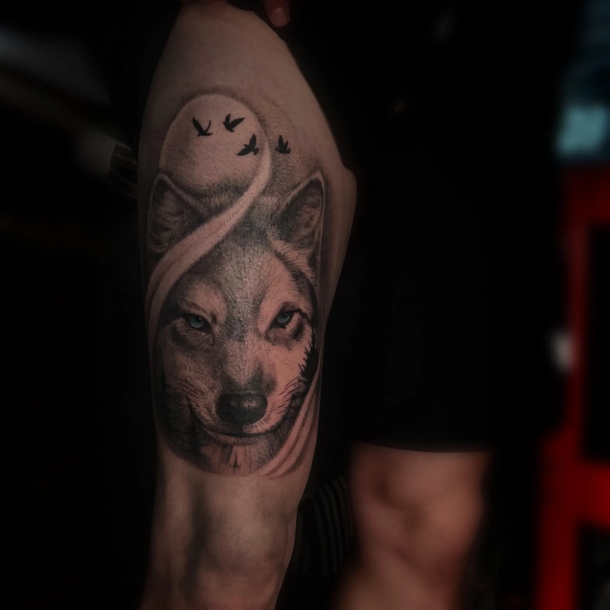 허벅지 상박 늑대타투 - 1