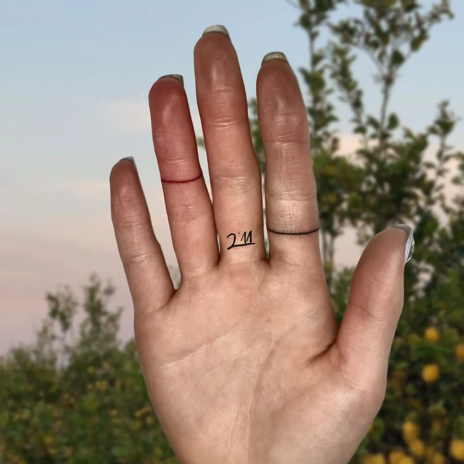 ์๊ฐ๋ฝ ๋ง ํํฌ - 1