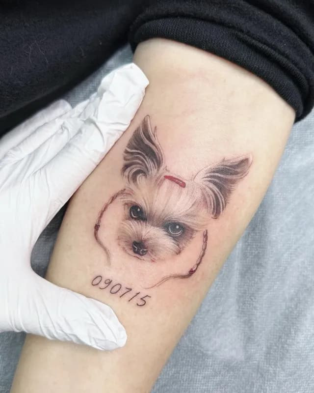 ์ ๊ฒฌํํฌ - 1