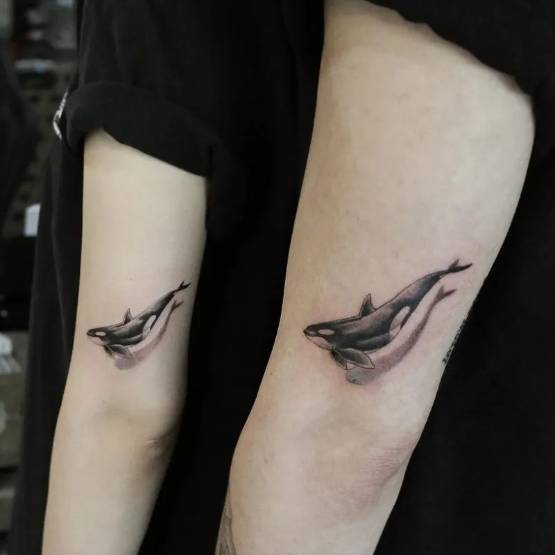 ๊ฐ์ฑํํฌ ๊ณ ๋ - 1