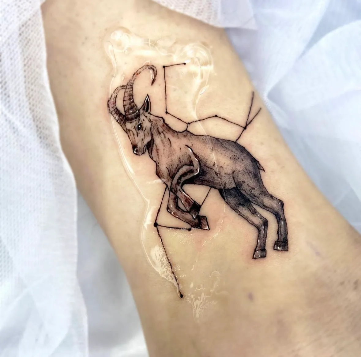 ์ผ์ํํฌ - 1