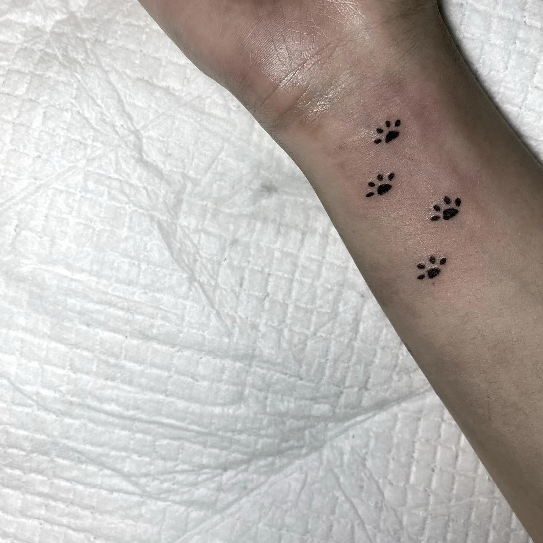 귀여운 강아지 발바닥 미니타투 - 1