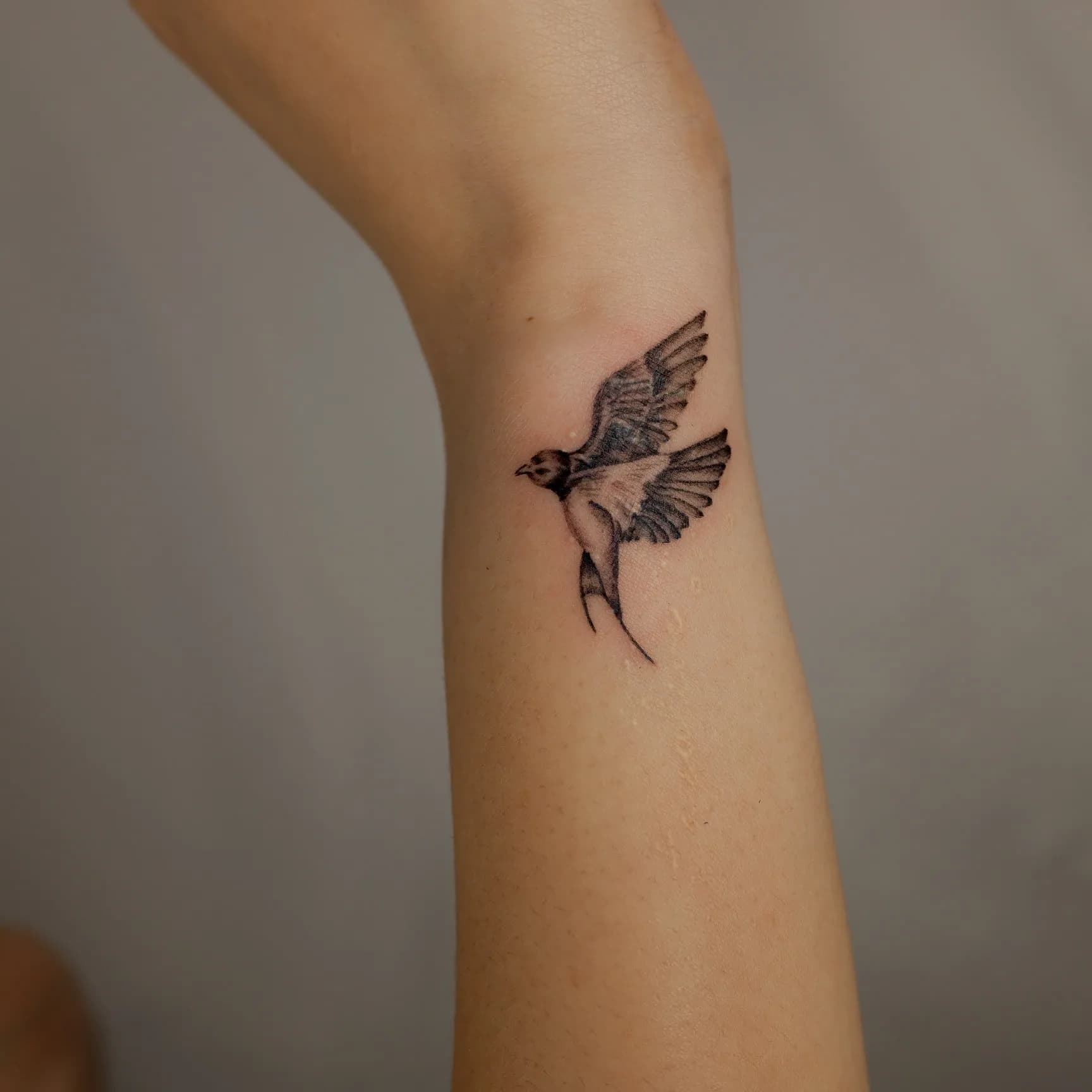 커버업 제비 nimm_tattoo - 1
