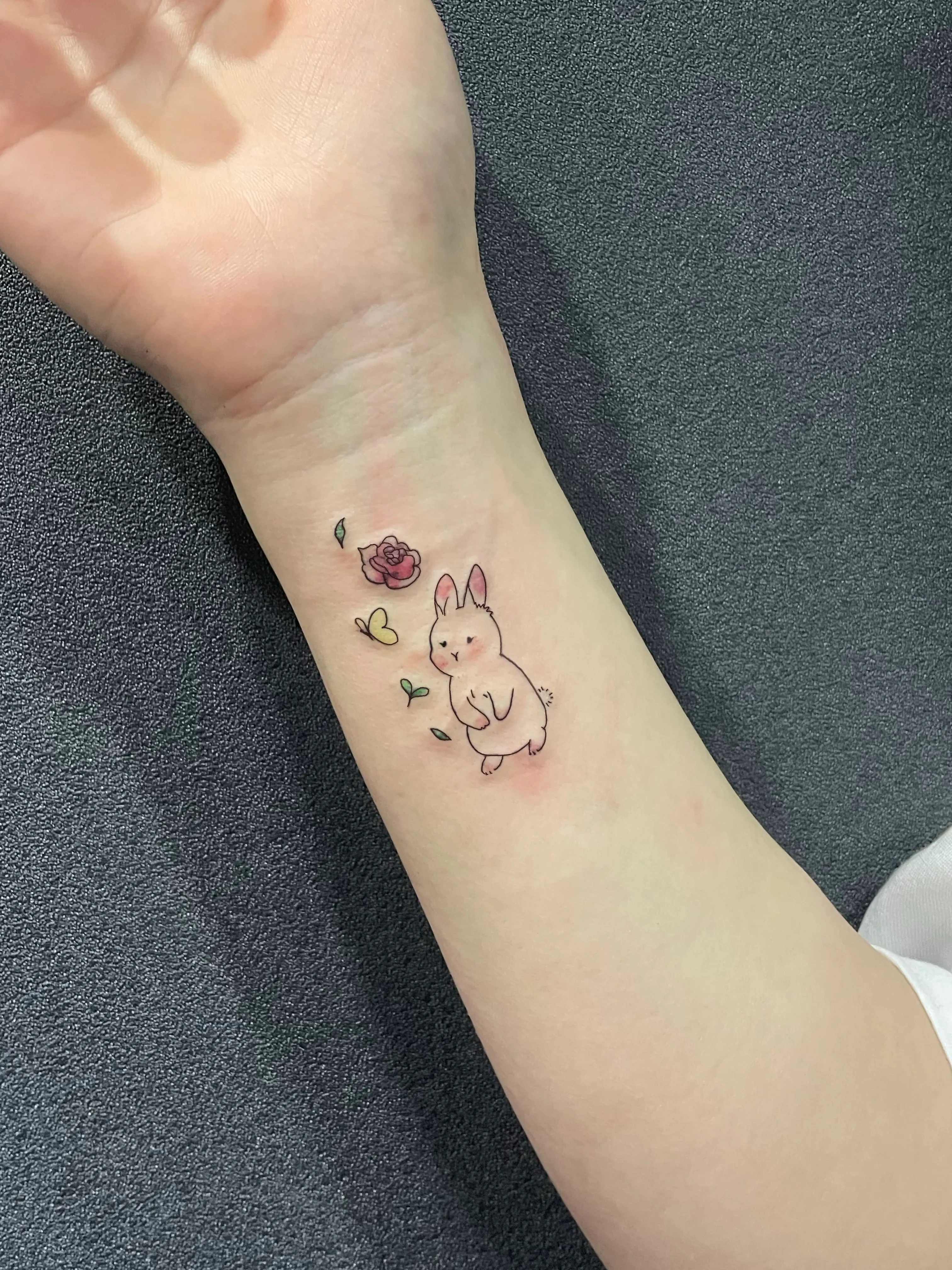 토끼