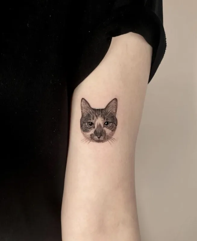 ๊ณ ์์ดํํฌ