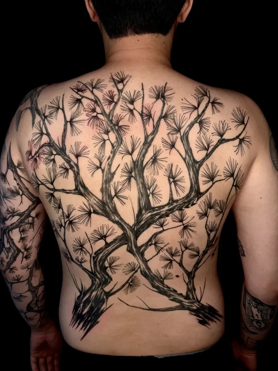 ๋ฑํ ์๋๋ฌดํํฌ