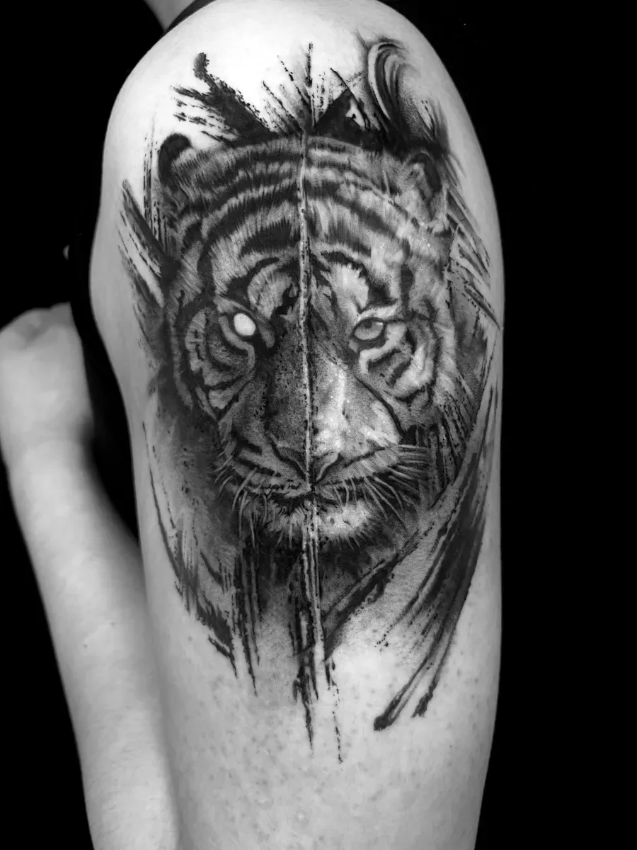 ํธ๋์ด ํํฌ