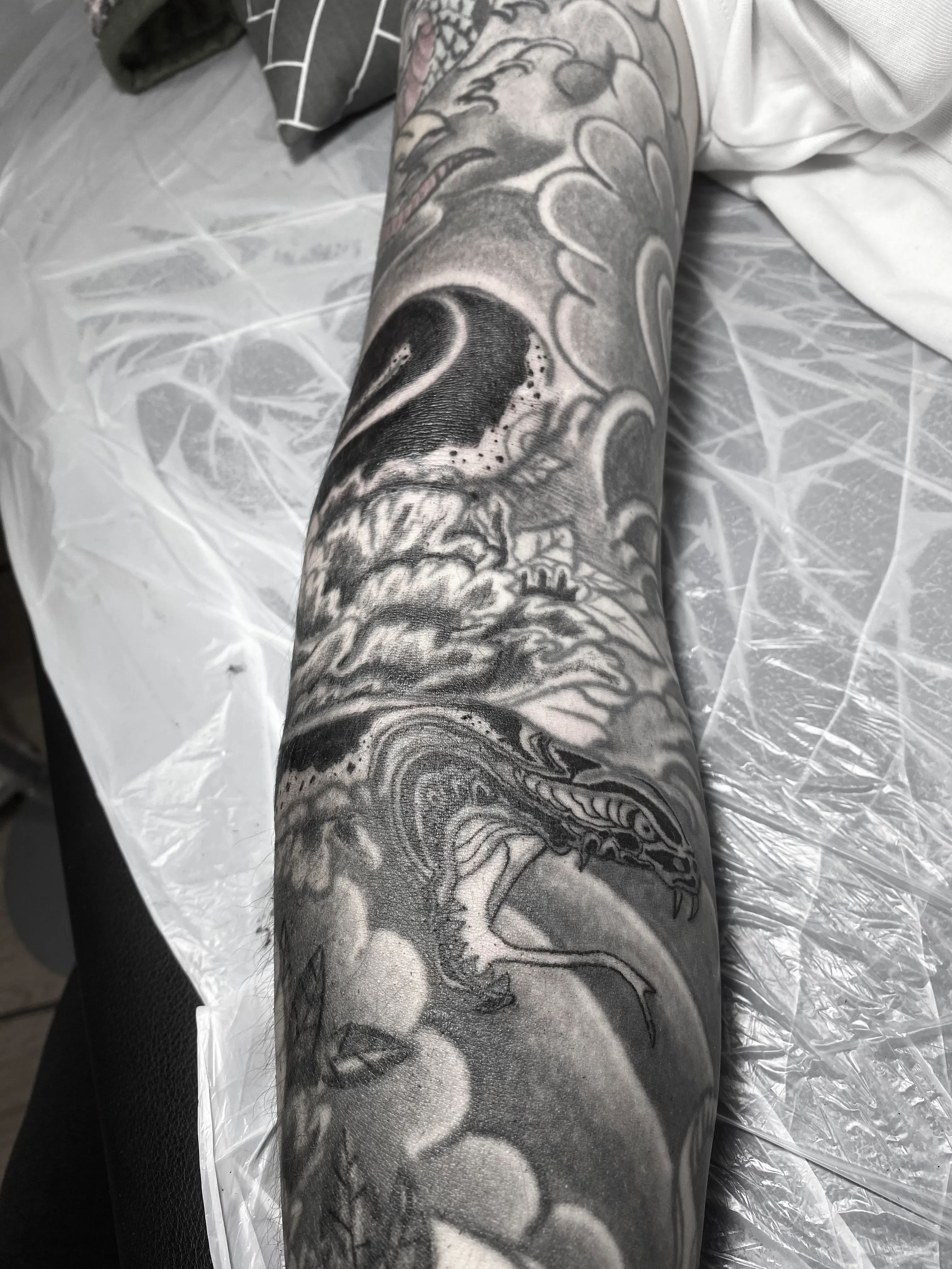 이레즈미 긴팔 뱀