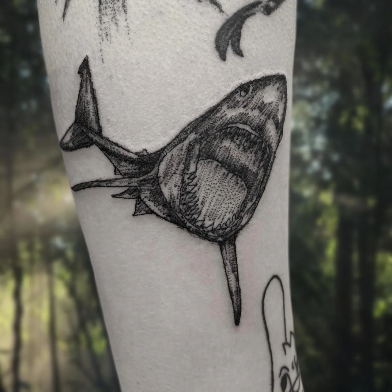 ์์ด ํํฌ - 1