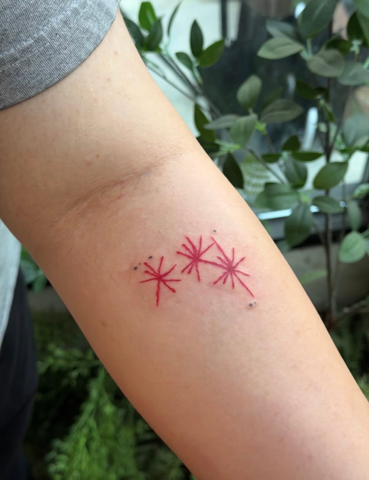 ๋น ํํฌ,์ปฌ๋ฌํํฌ