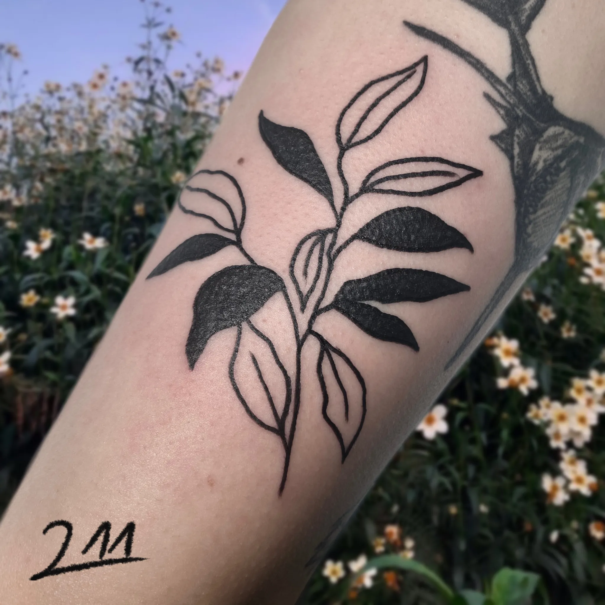 ๊น๋ํ ๋ธ๋์ํฌ - 1