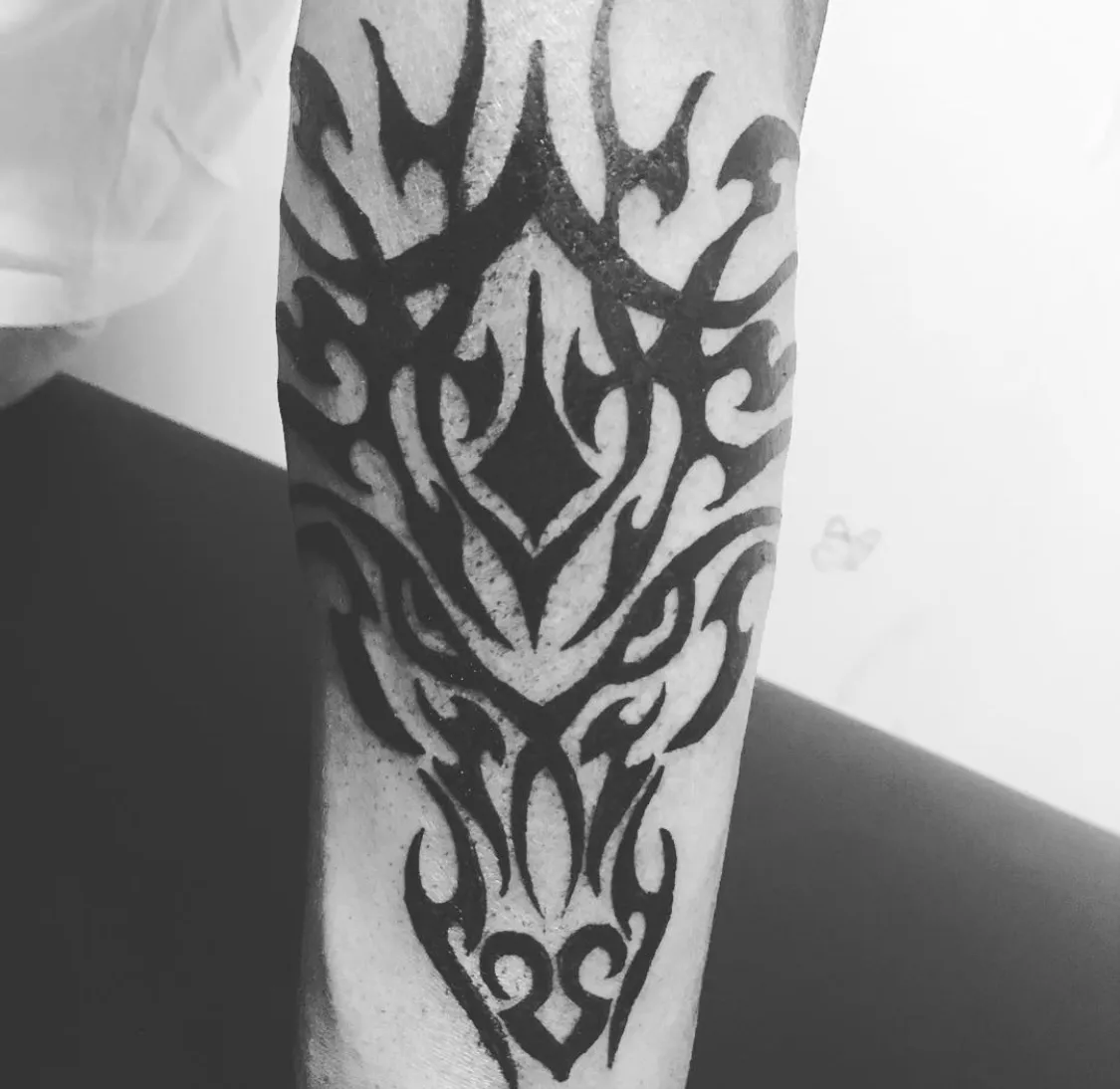 ํธ๋ผ์ด๋ฒ ํํฌ