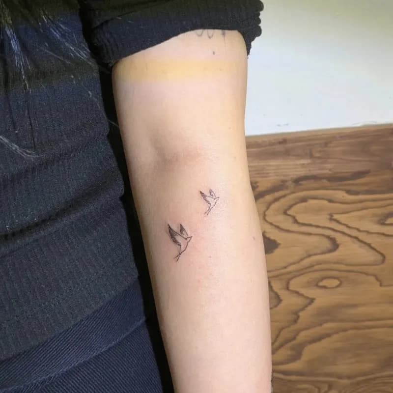 비둘기타투,새타투 - 1