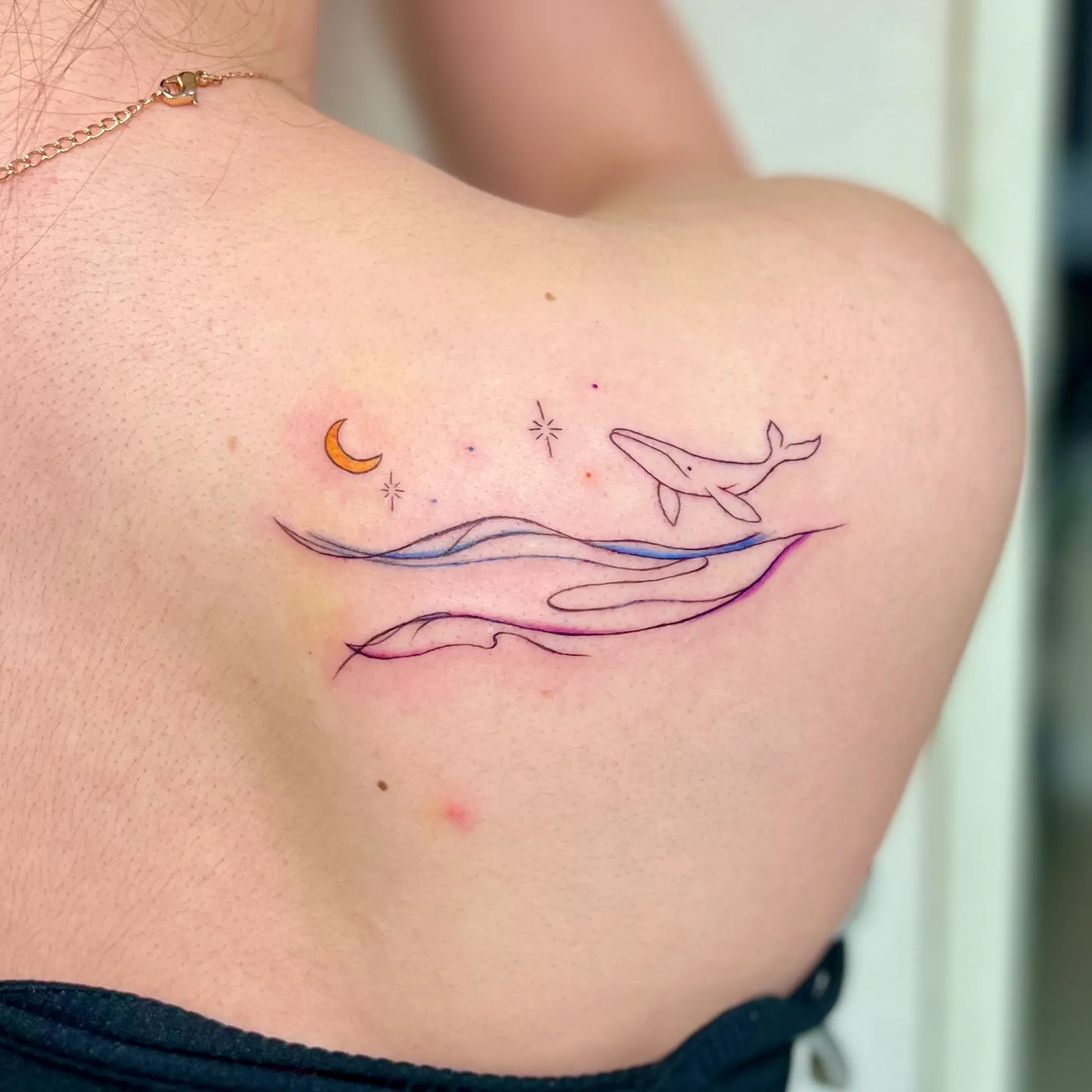 ๊ณ ๋ํํฌ ํ๋ํํฌ ๋ฌํํฌ