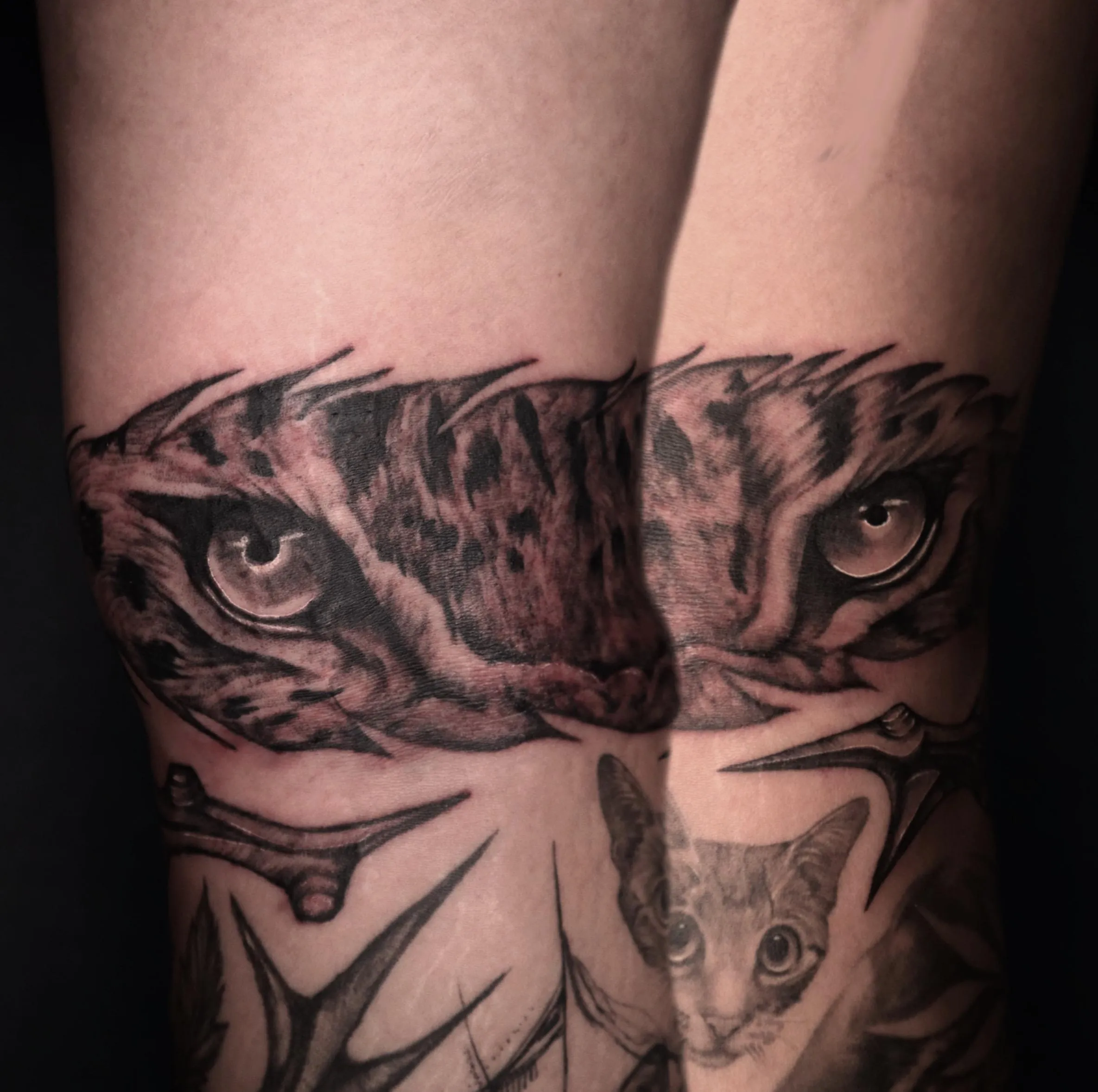 호랑이눈타투 - 1