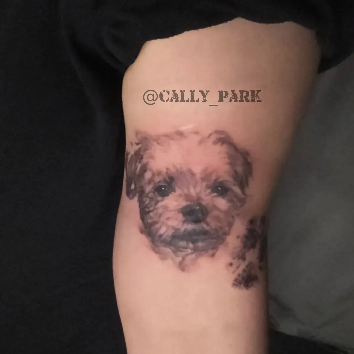 수채화타투- 반려견