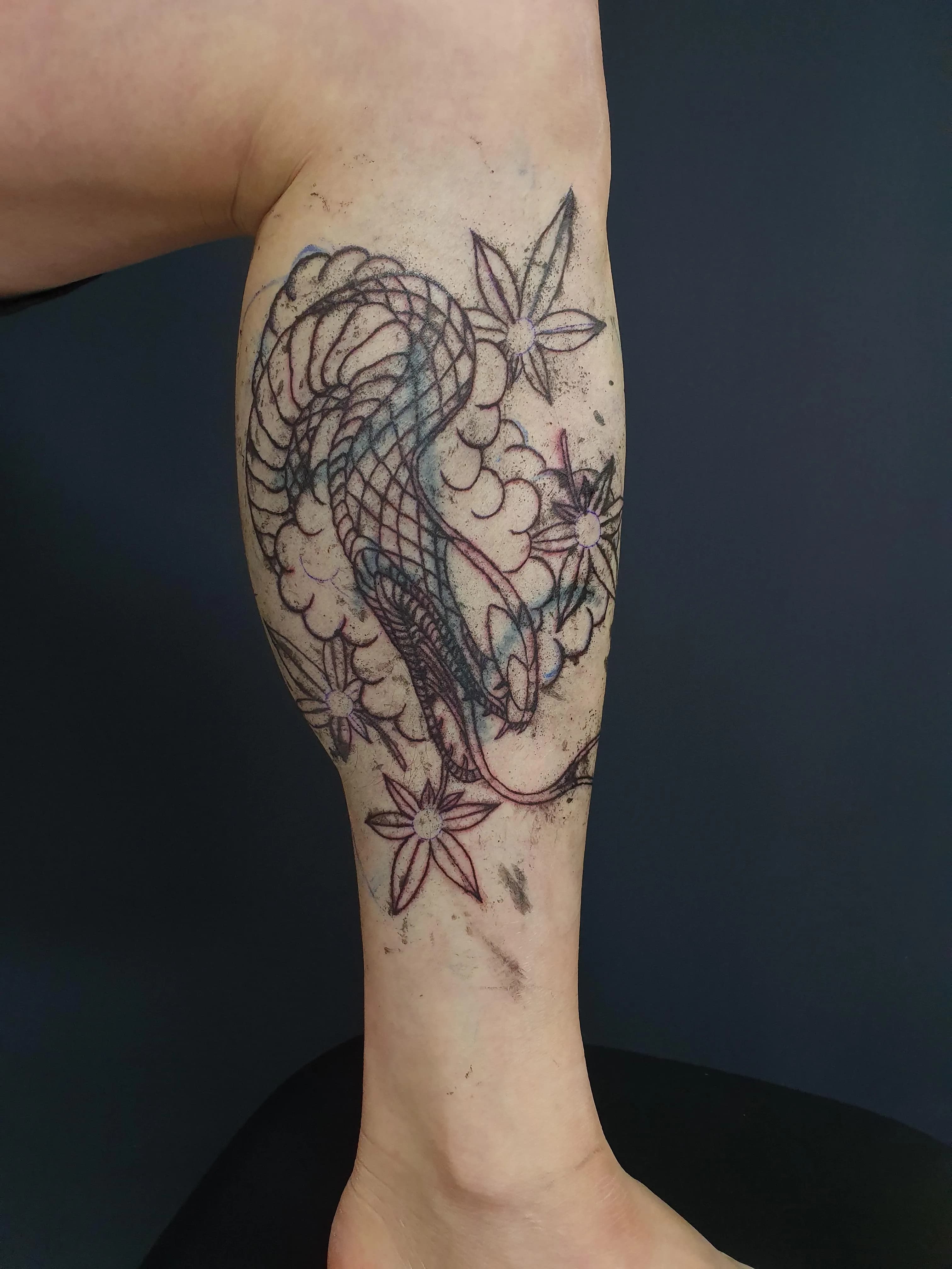 ๋ชฉํฌํํฌ TSํํฌ ๋ฑํํฌ ์ปค๋ฒ์
ํํฌ ์
๋๋ค. - 1