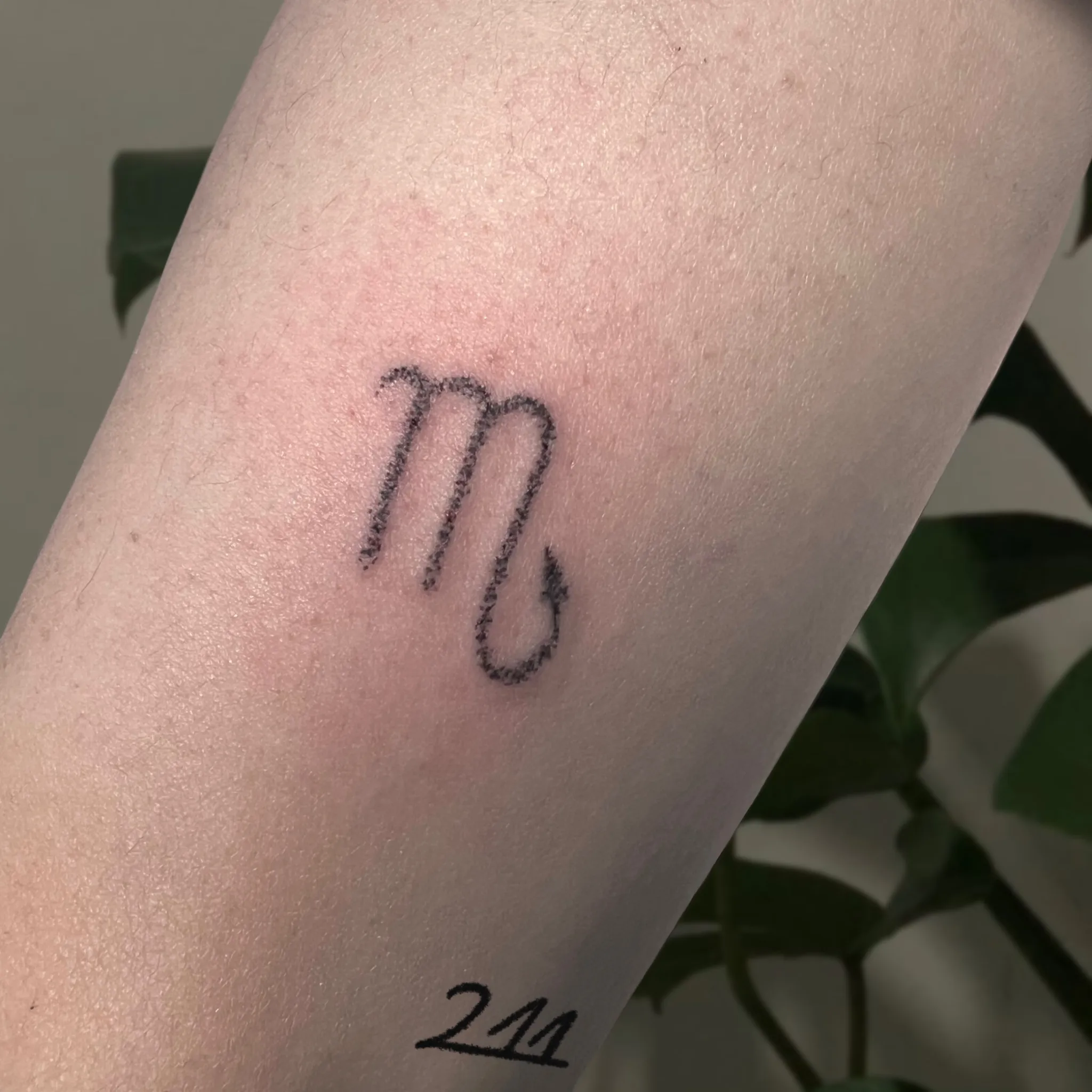 별자리 심볼 핸드포크 타투 - 1