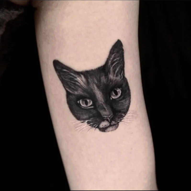 반려묘타투 서면타투 전포타투 - 1