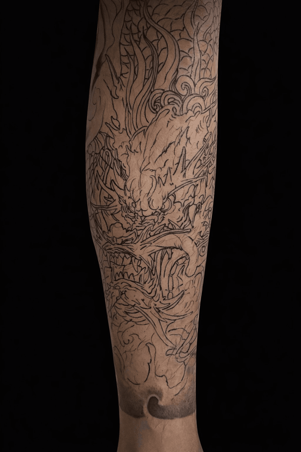 뉴재패니즈 이레즈미 용 라인(다리)