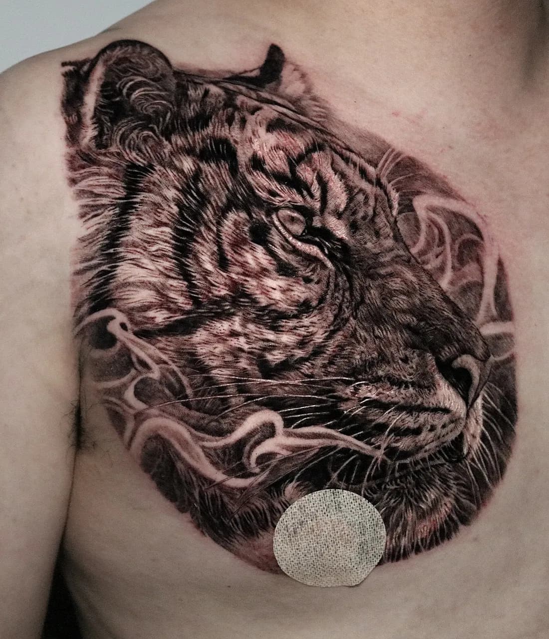 블랙엔그레이 호랑이 가슴타투