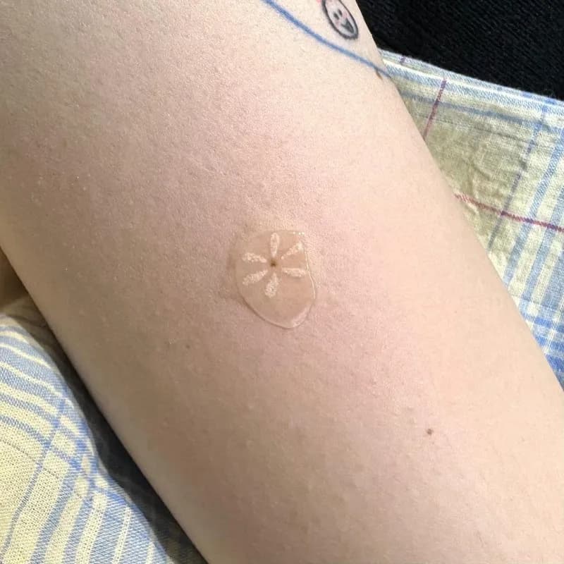 ๊ฝํํฌ ๋ฐ์ด์งํํฌ ์ ํํฌ