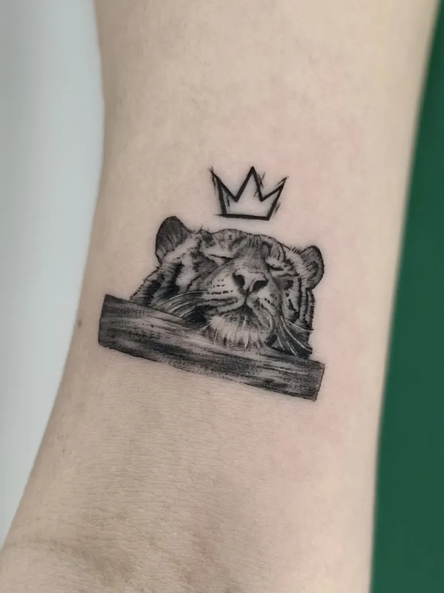 ํธ๋์ดํํฌ ์๊ดํํฌ - 1